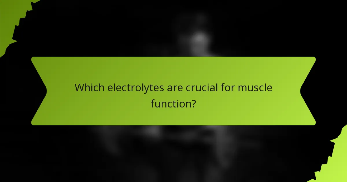 Which electrolytes are crucial for muscle function?
